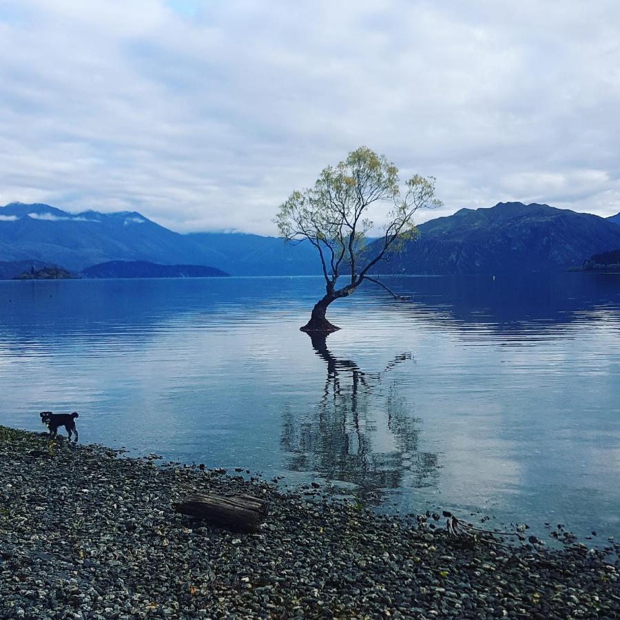 Alto On Hedditch Wanaka Exterior photo